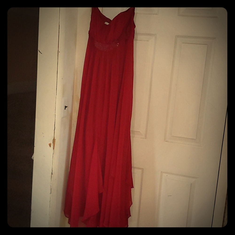 David's Bridal size 10 Bride's maids Dress